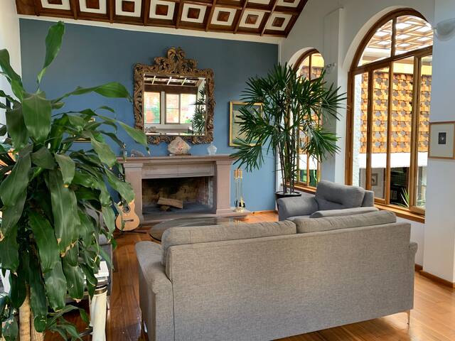 Coyoacan Mosaico gallery image 4