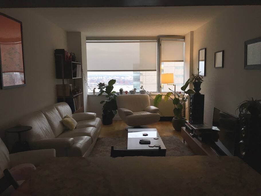The living room