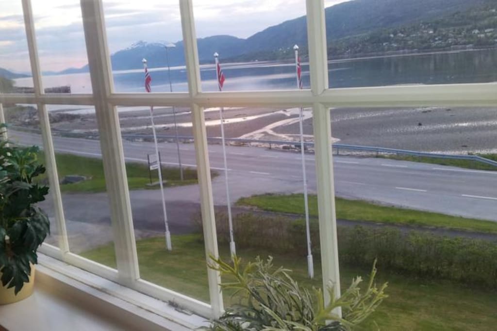 Utsikt mot fjord