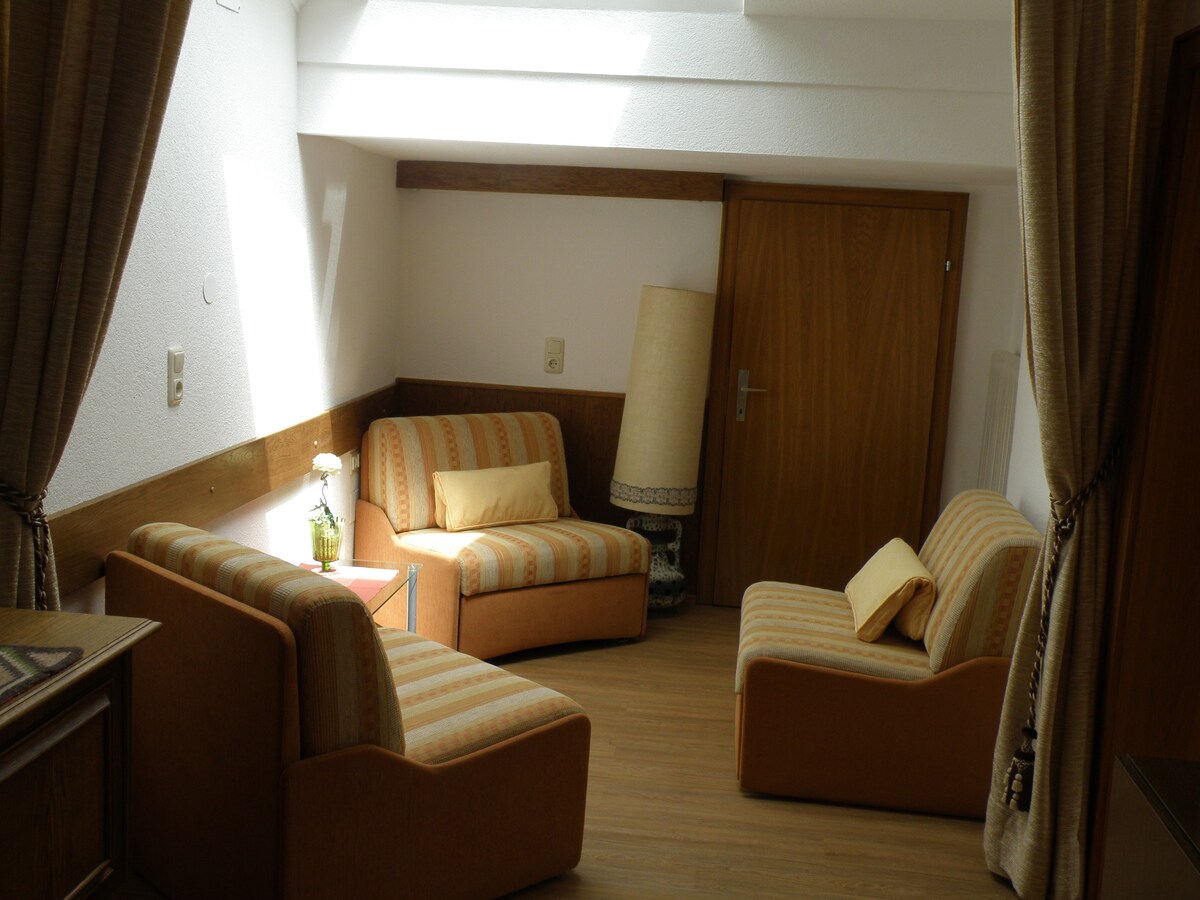 A comfortable seating area features two striped sofas and an armchair arranged around a small side table. Natural light enters through the skylight, illuminating the warm wood tones of the room and the soft fabrics of the furniture.