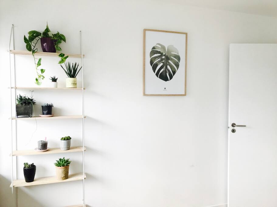 Wall