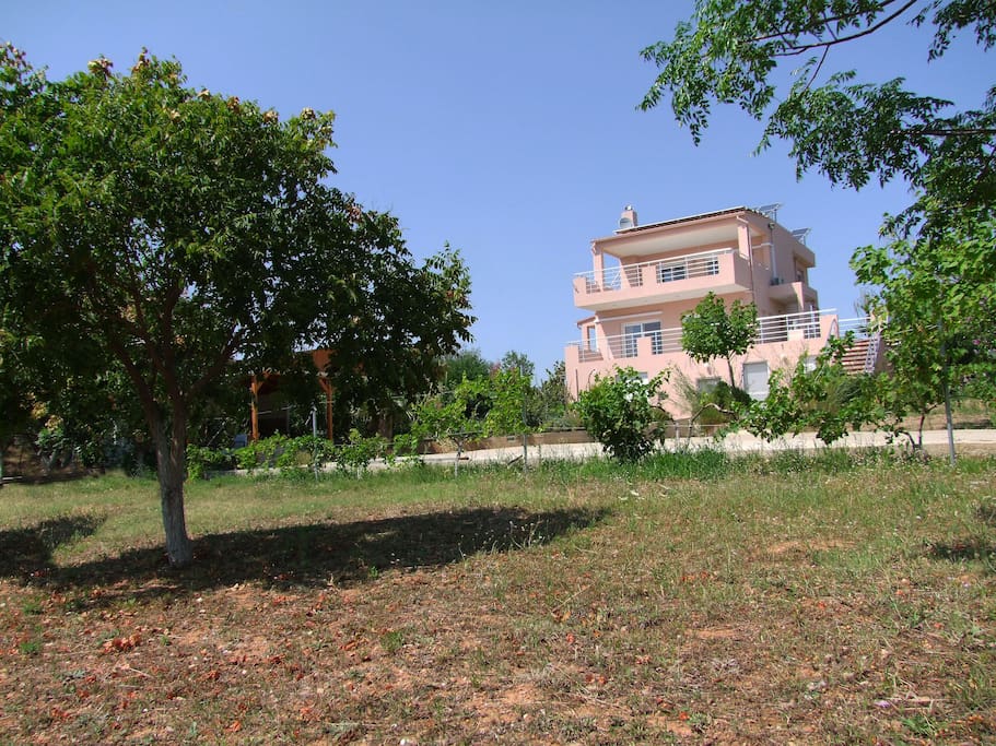 the house