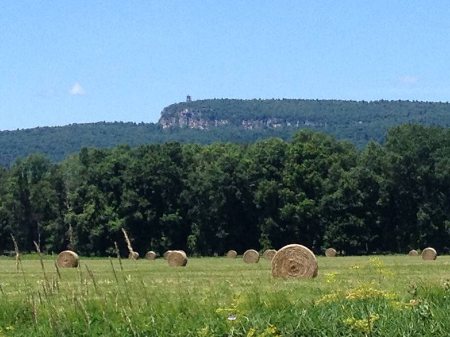 Main Street New Paltz, Historic Huguenot Street, Mohonk Mountain House, Shawangunk Ridge "The Gunks" all within 1 to 5 miles from the house