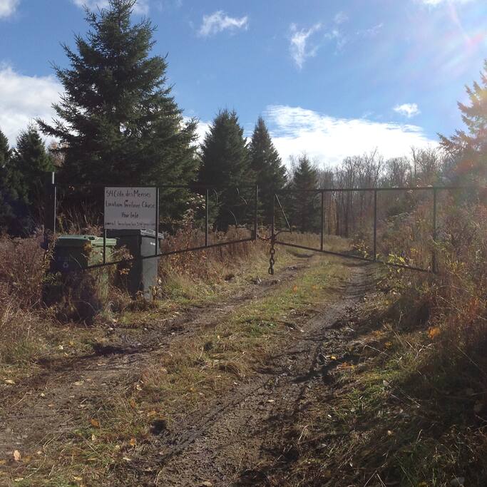 A 800 m dirt road that suits small cars leads to the cottage. You can't go deeper in the woods.