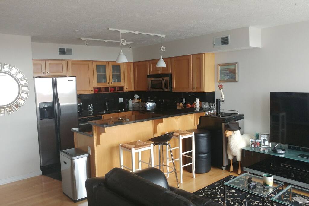 Granite Kitchen with top end appliances and Kegerator of Stella guarded by Sam Sheep!