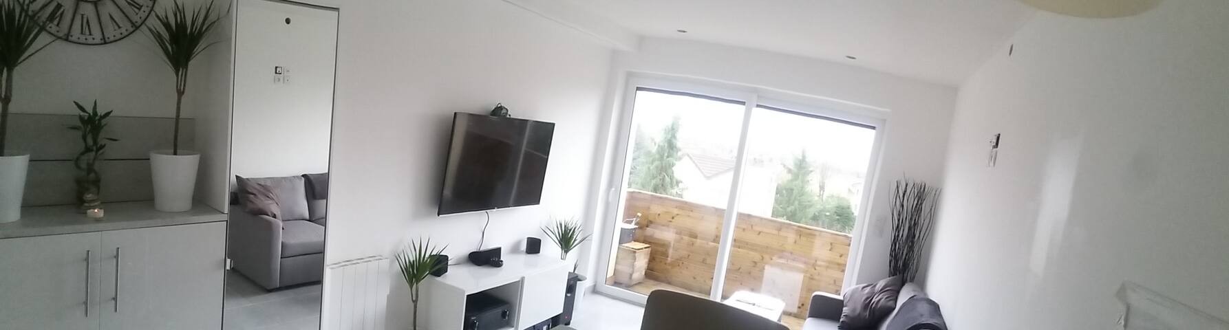 Nice apartment between Disney and Paris