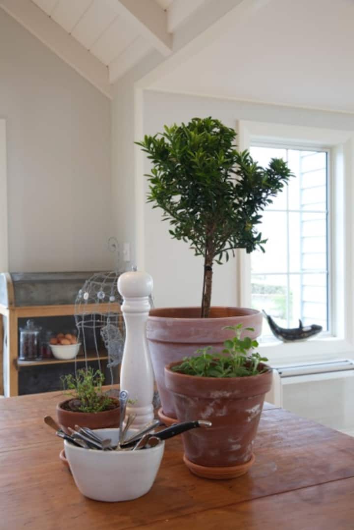 Top 10 Airbnb Vacation Rentals In Riverton, New Zealand Updated 2024