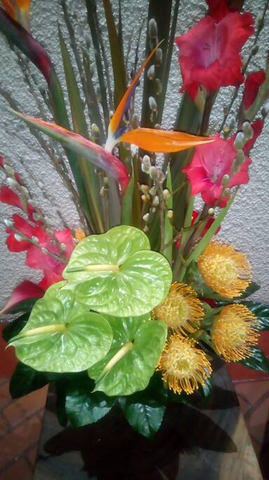 colors of nature
