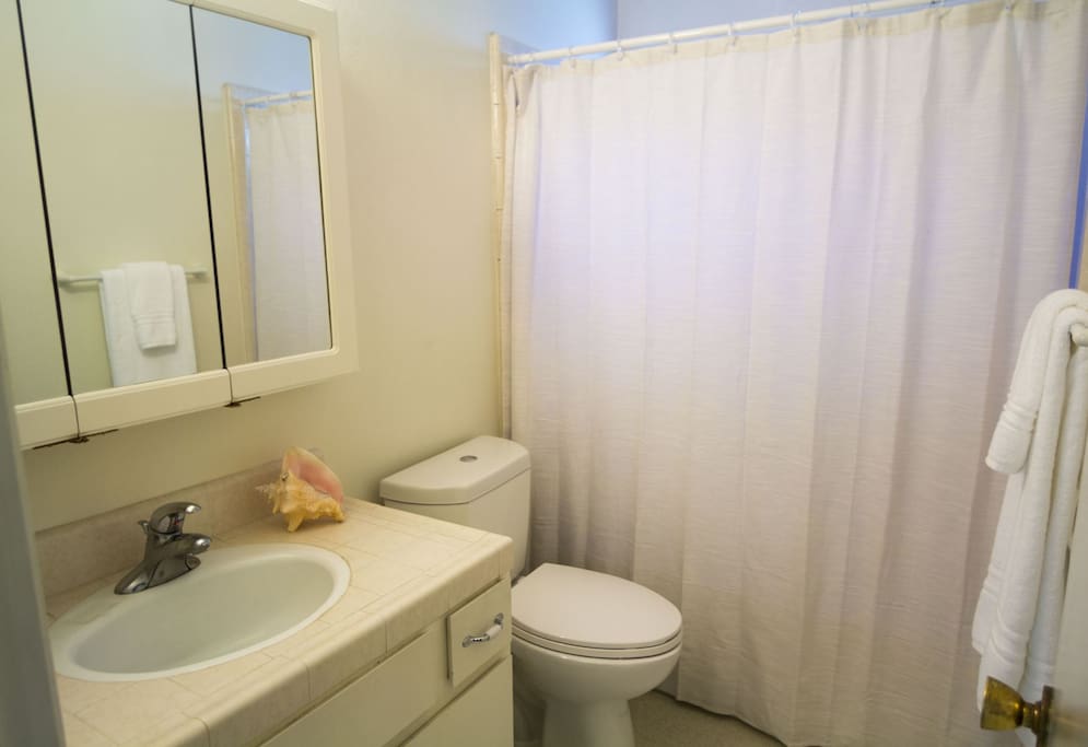 Bathroom Off Bedroom