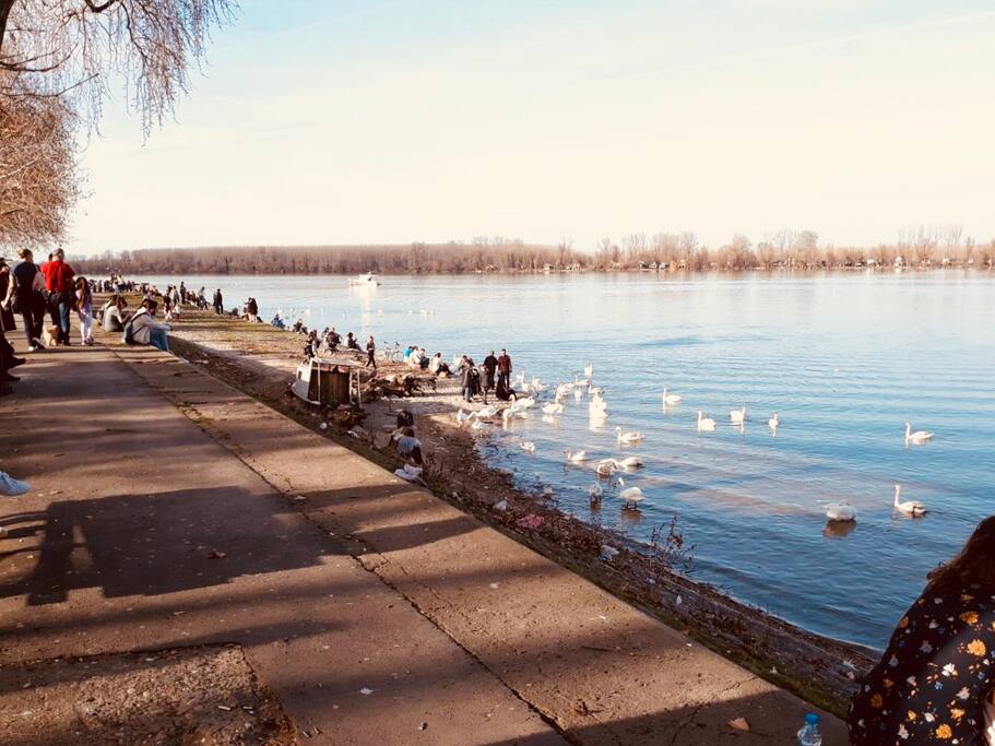 Promenade