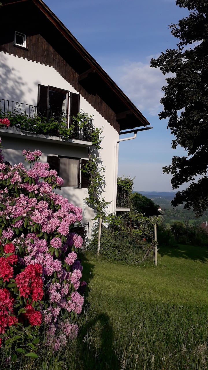 Great Apartment On The Beautiful Countryside - Deutschlandsberg
