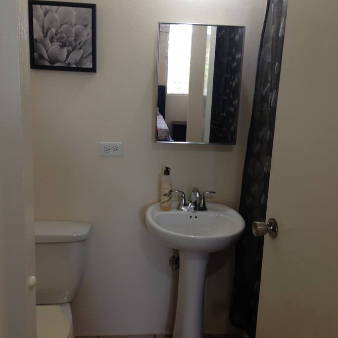 Bathroom in master bedroom