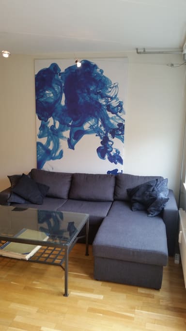 Sleeper sofa fits 2, but is better for 1.