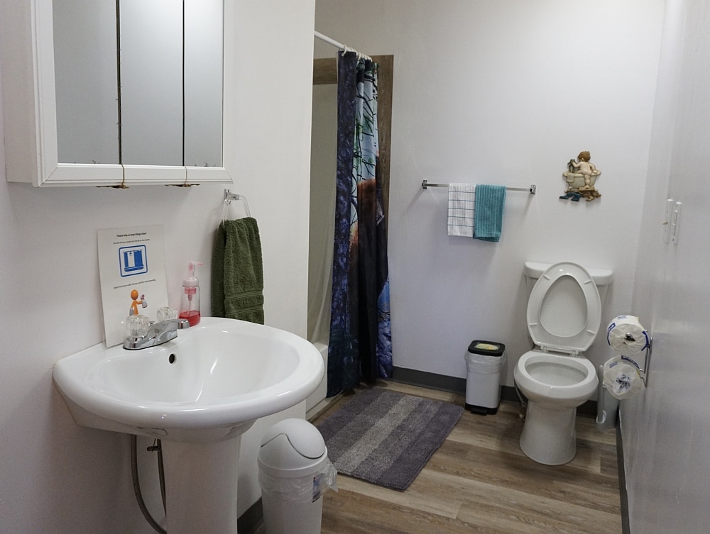 A shared bathroom area features a white sink with a mirror above it. A shower curtain displays a nature scene, and towels are neatly arranged on hooks. A toilet is positioned next to a small trash bin, with wooden flooring providing a warm touch.