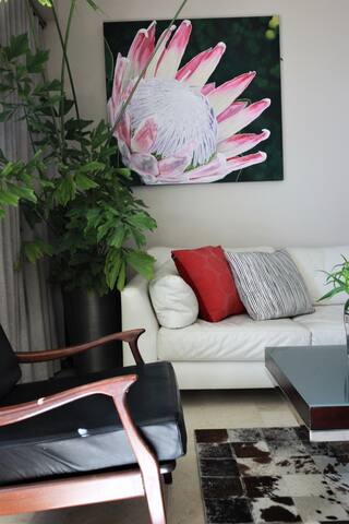 Bay View Icon gallery image 2