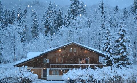 Luxury 6 bedroom chalet in Morillon!