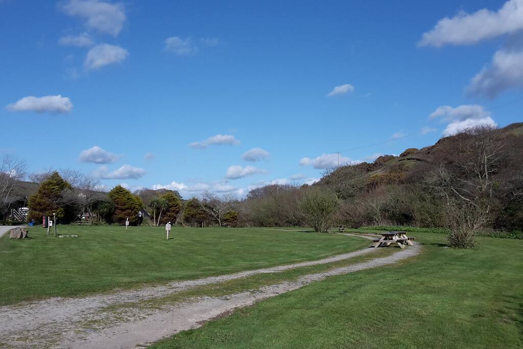 The pitch