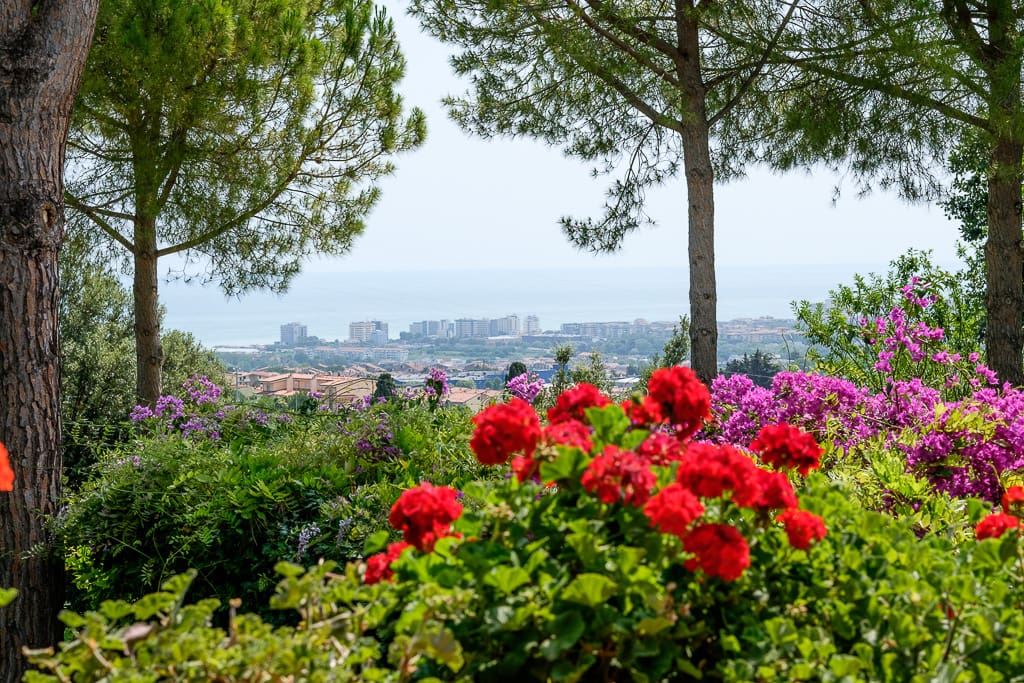 Panorama