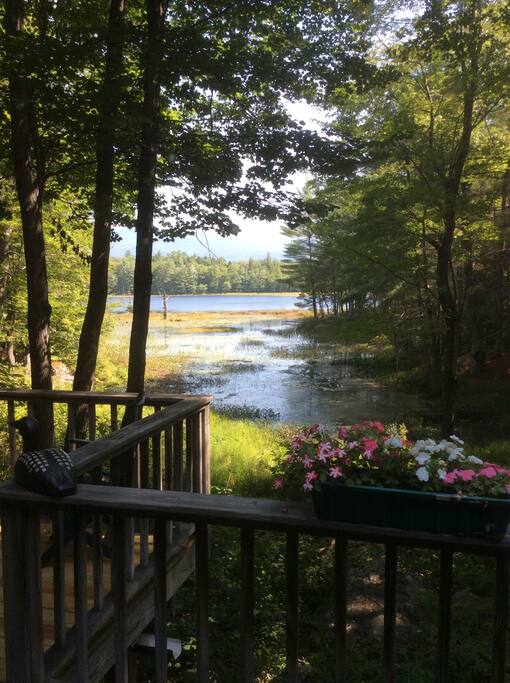 Spring & summer
at the cabin.