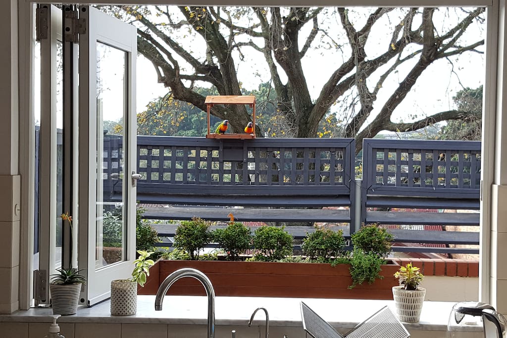 Beautiful outlook, perfect place to relax and enjoy inside & out!