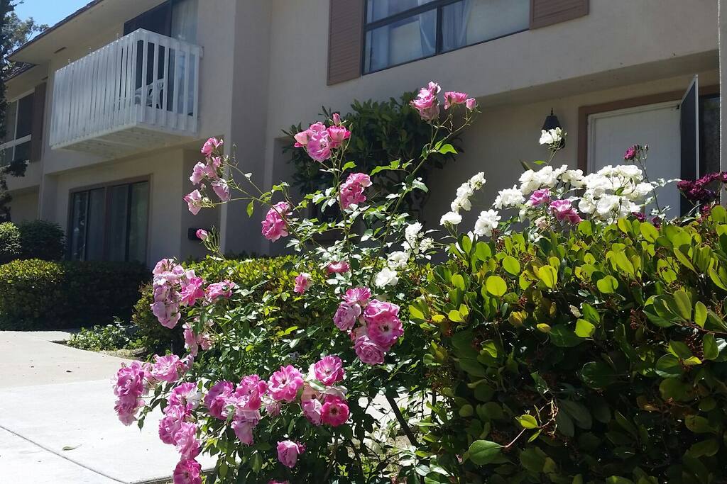 Outside front door