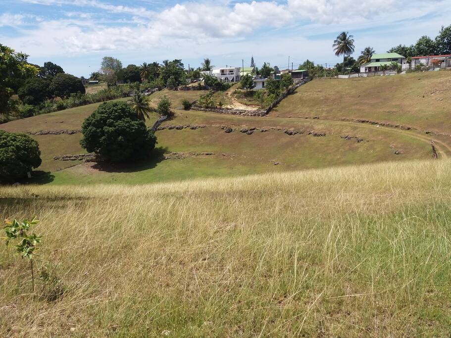 Vue champêtre et tropicale