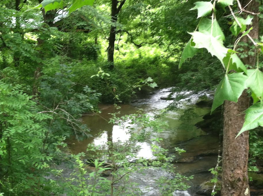 Birds' Creek