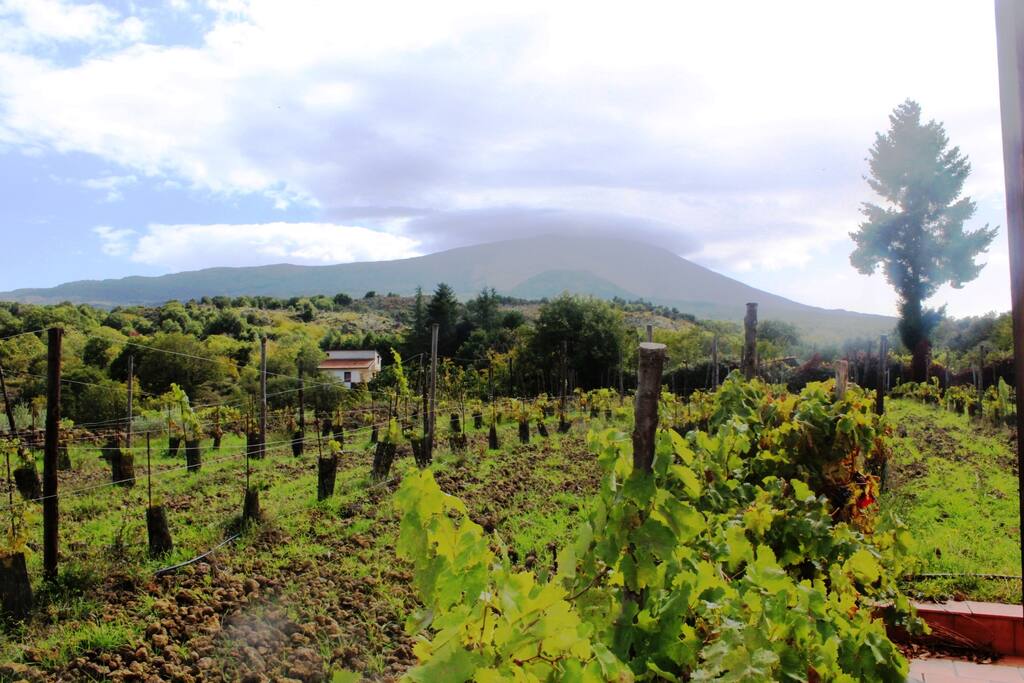 Vista dalla casa.