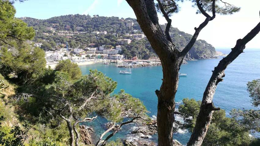 Apartamento Llafranc, a 50 Metros de la Playa gallery image 2