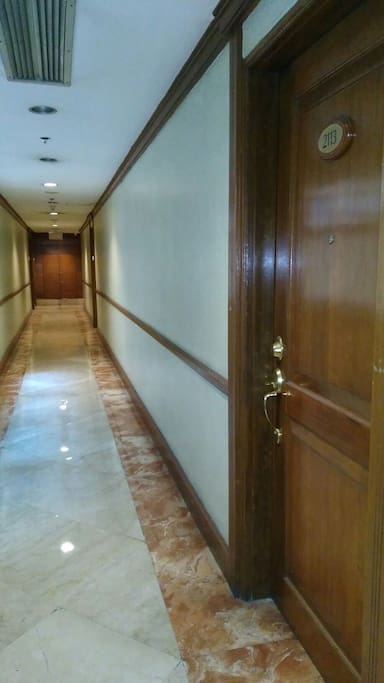 the hall and entrance door