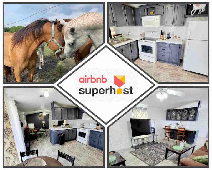 Horse Lovers Wimauma Ranch Holiday homes for Rent in Wimauma
