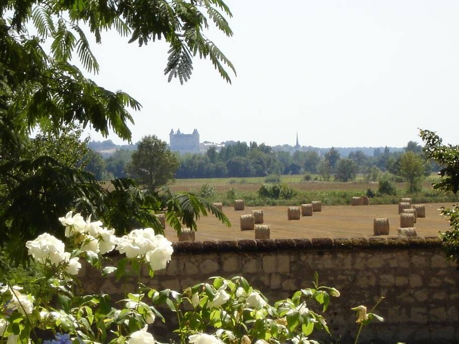 Vue depuis le parc