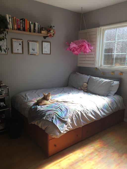 Custom bed has tons of storage underneath (no dog included :D)