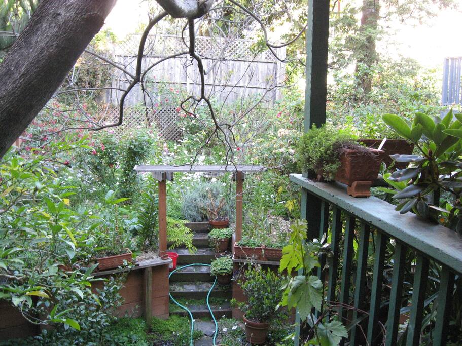 View from deck