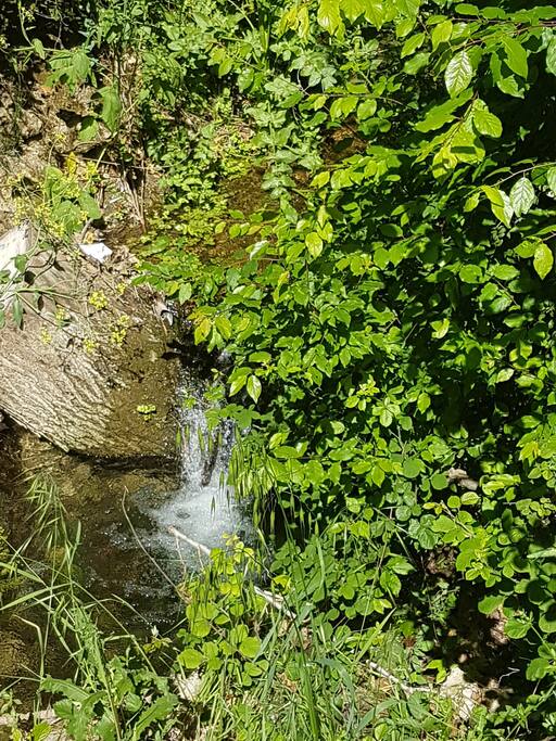 au milieu coule une rivière...