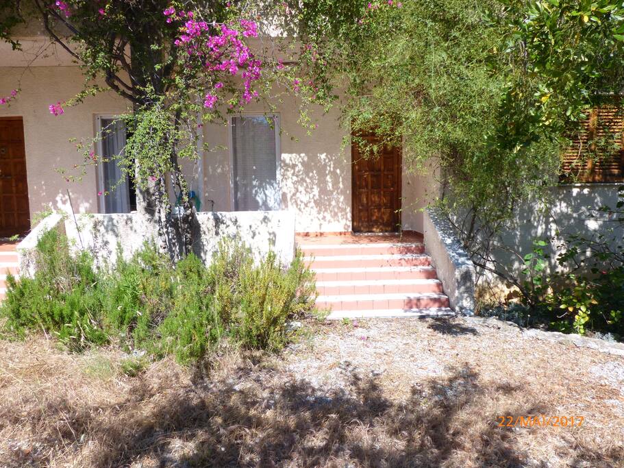 The front of the house, overseeing the garden, morning sun