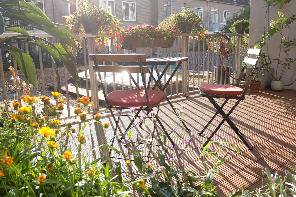 Super sunny private terrace backside.