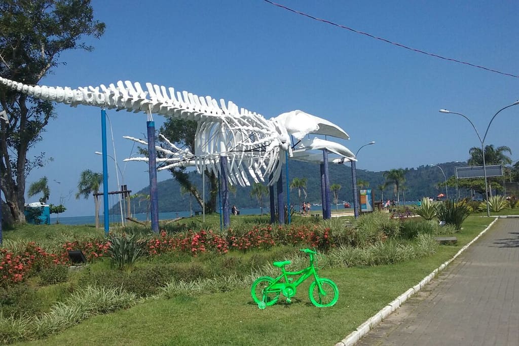 praça da baleia próxima a casa