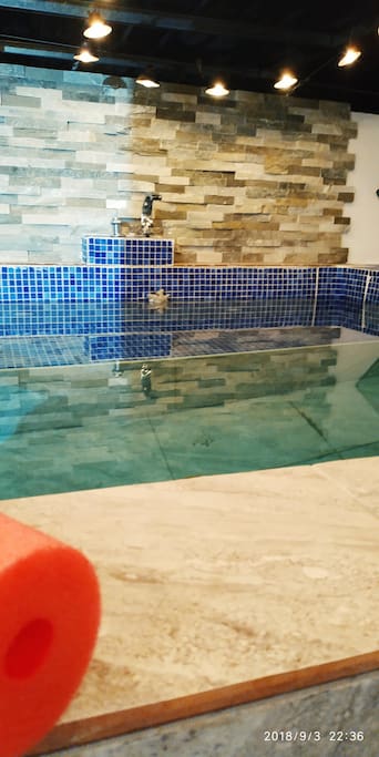 Tiny pool in the backyard