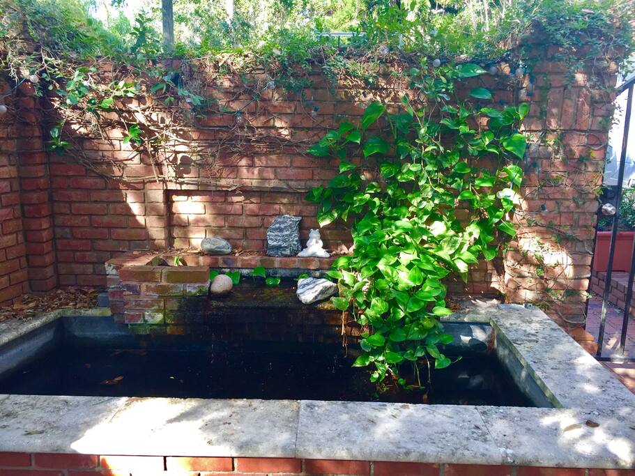 Courtyard Koi Pond