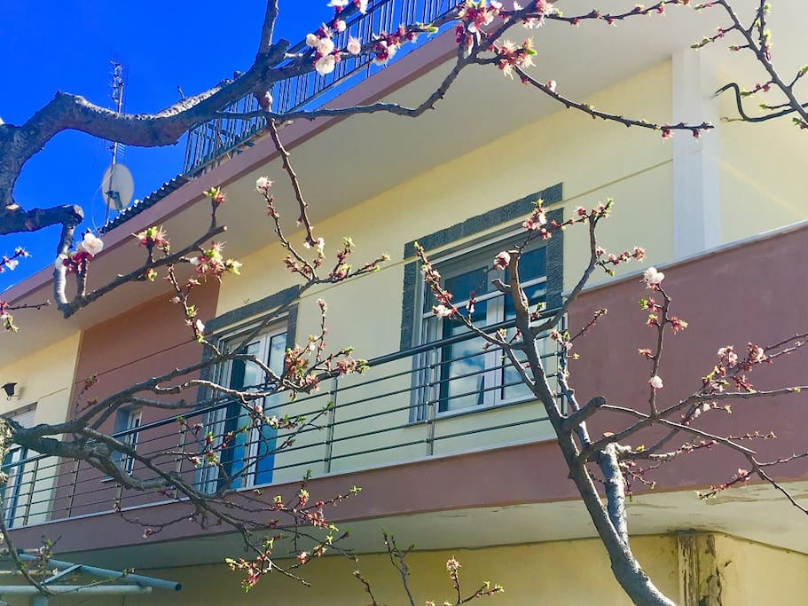 Facade