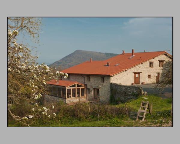 Placer de estar, calidez; paisajes y silencio, paz