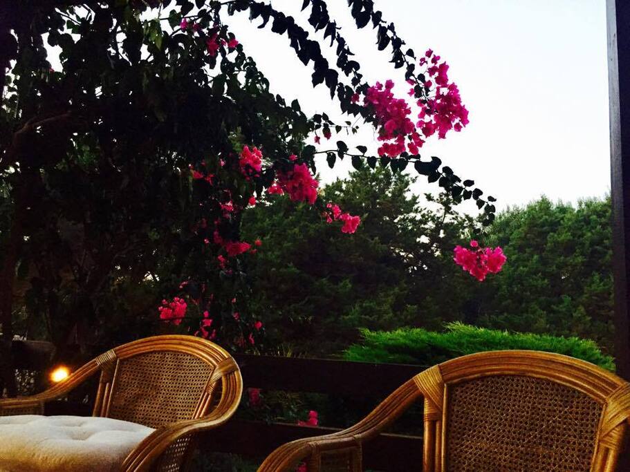 our veranda
