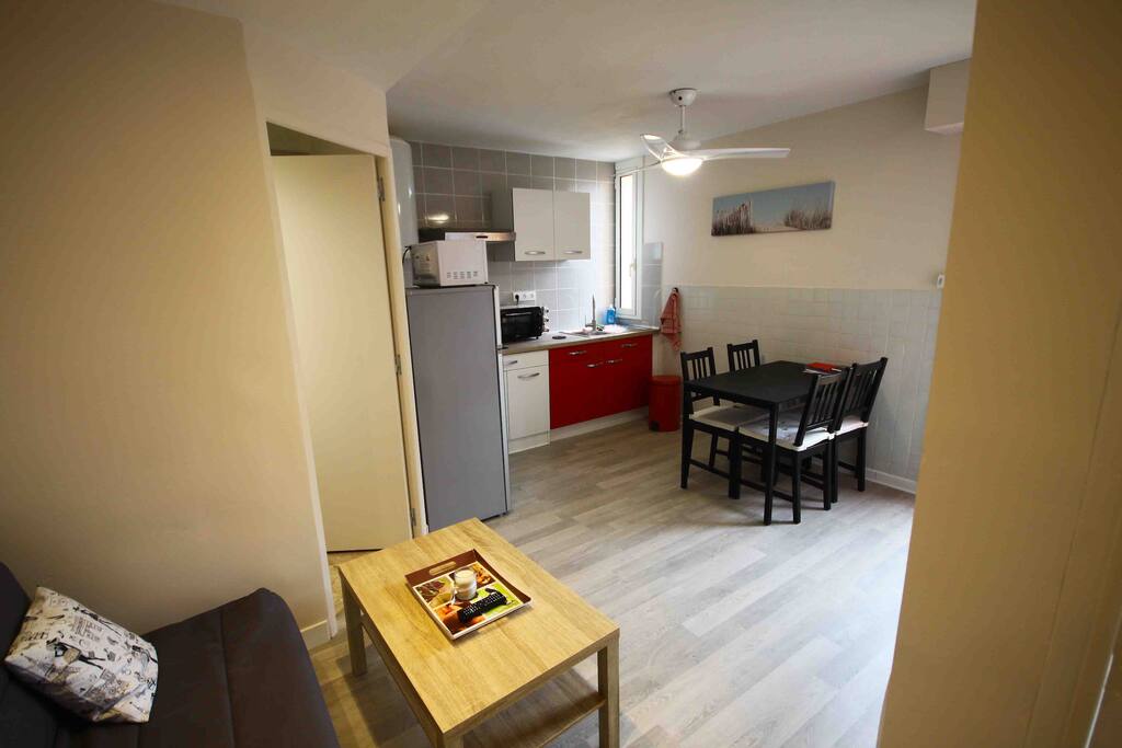 salon/cuisine avec ventilateur au plafond.