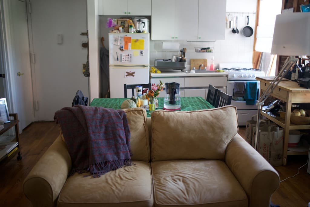 the sofa with the kitchen in the background. The entrance door to the left and the bathroom door at the extreme left.