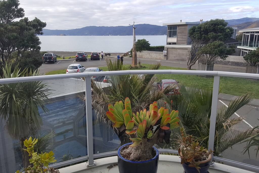 Harbour views