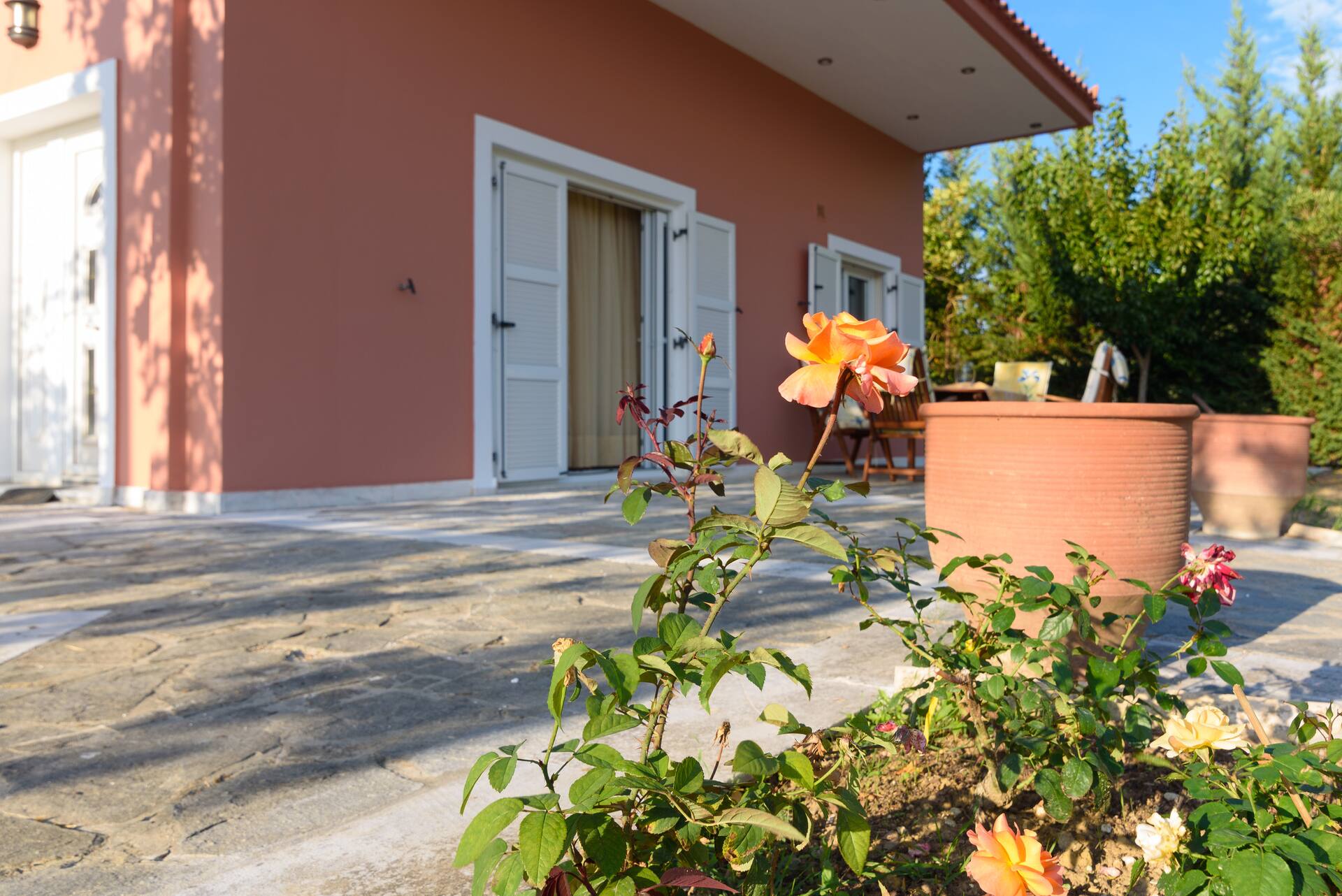 Villa Aris — photo 4