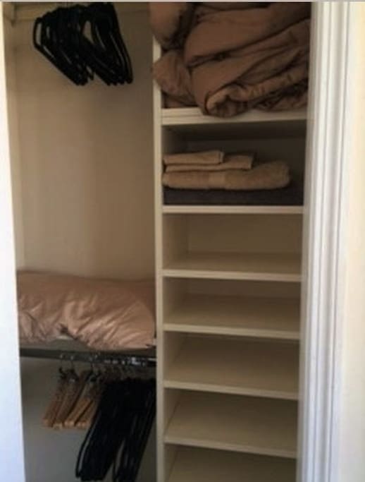 Closets are fully customized to maximize storage space.