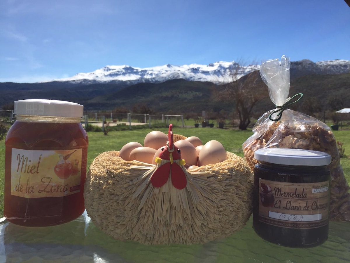 A rustic display features a jar of honey, a basket of fresh eggs, and a jar of fruit preserves, all set against a backdrop of snow-capped mountains. The vast green landscape emphasizes the natural beauty of the surroundings.