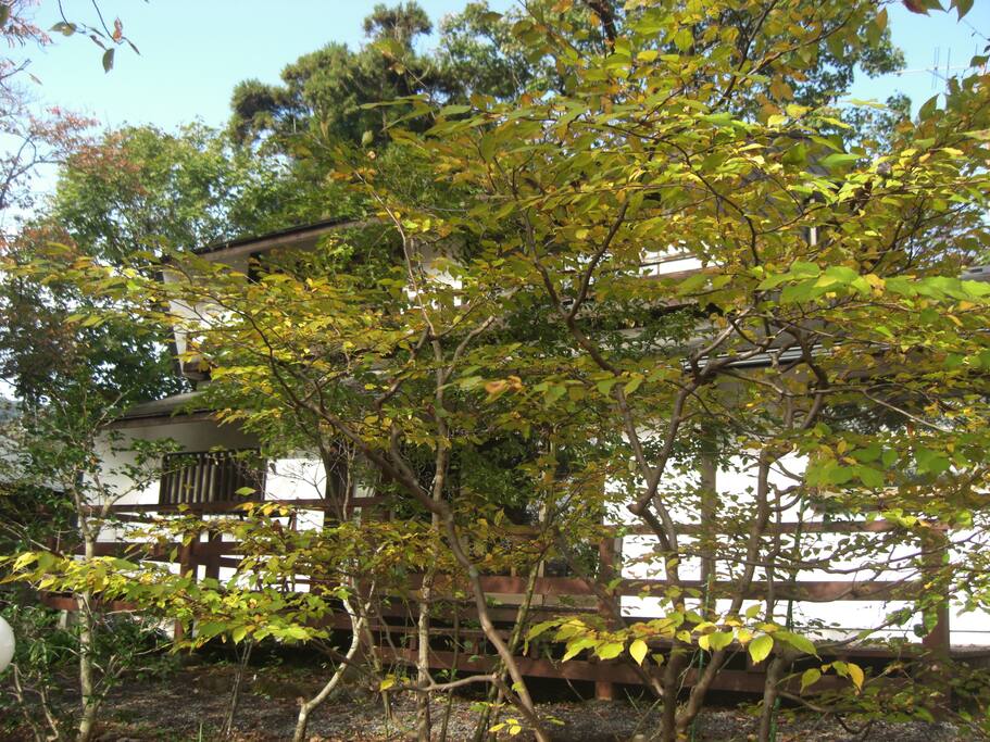 viewed from the front path 正面から見た建物